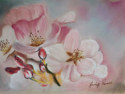 Irving, Cherry Blossom, pastel.jpg